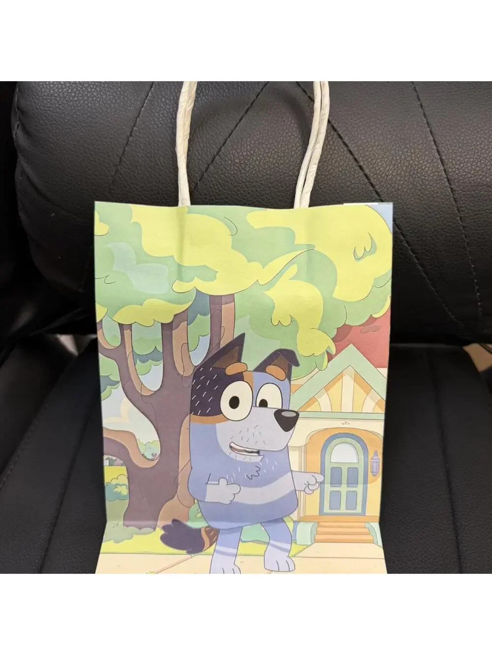 10 Pack Bluey Birthday Party Favor Gift Bags Bandit Chilli House 8x6x3.25 New